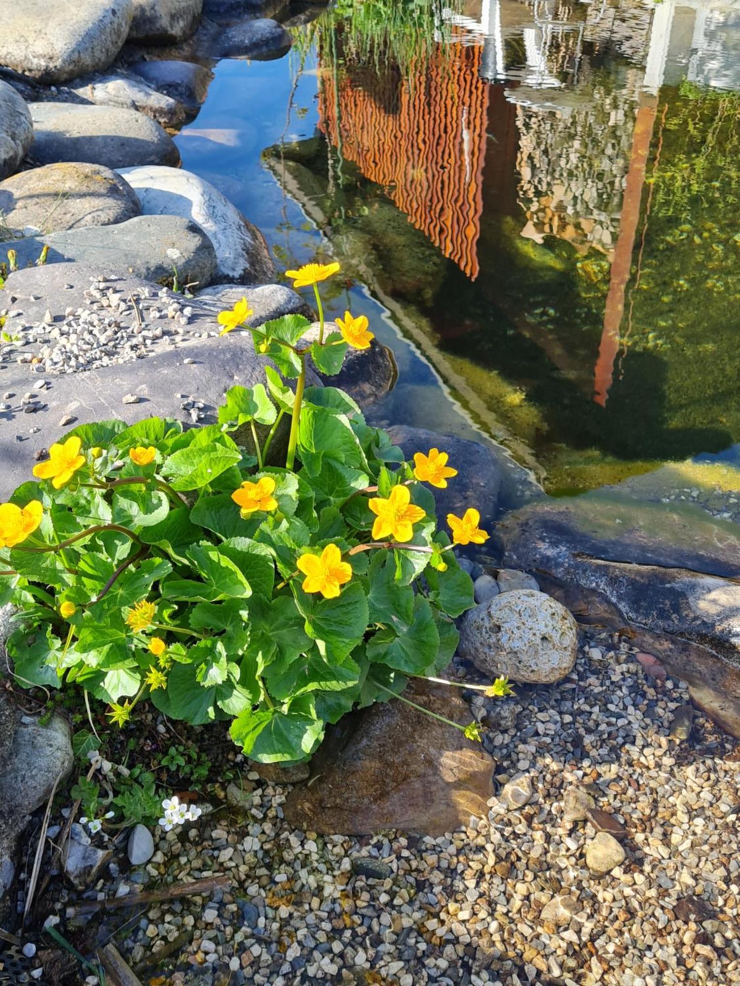 Apartment Familie Gruenauer Sankt Johann im Pongau Exteriör bild